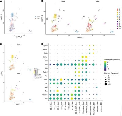 Quercetin targets VCAM1 to prevent diabetic cerebrovascular endothelial cell injury